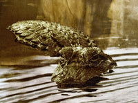 Alligator Panel